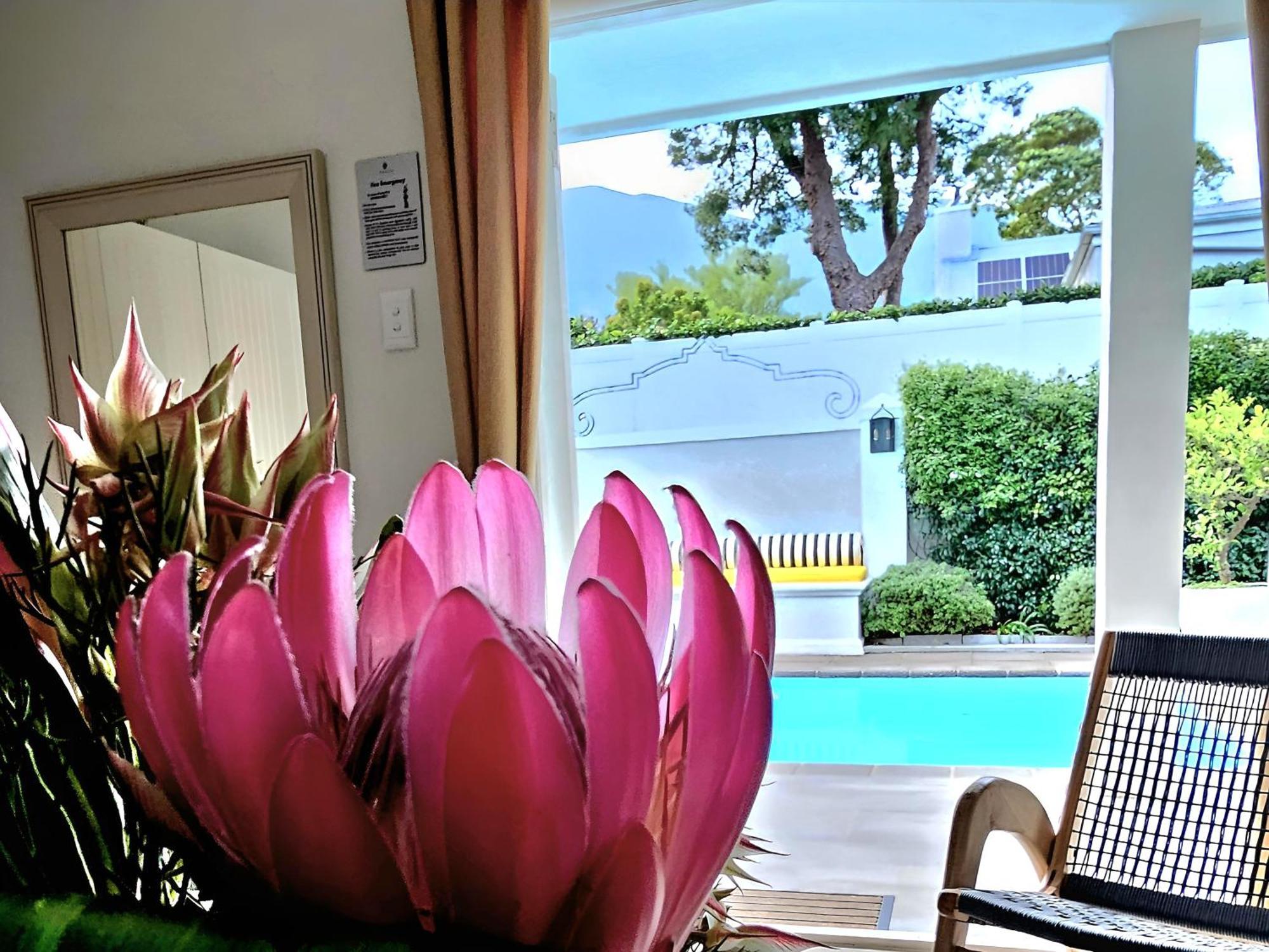 פרנצ'הוק Fleur Du Soleil Luxury Guesthouse מראה חיצוני תמונה
